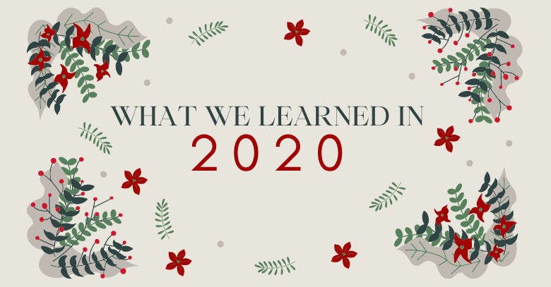 What We Learned in 2020